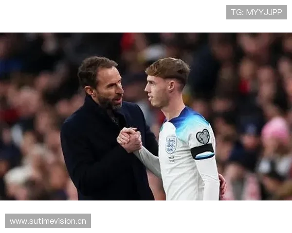 帕尔默是否更依赖体系？战术角色与个人能力解析