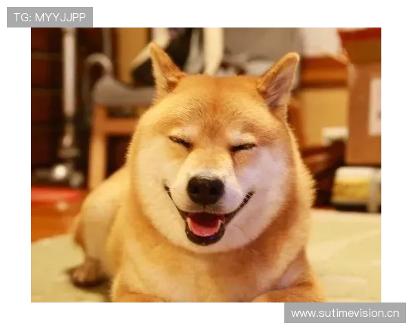 扎克拉文家的狗都比我会花钱