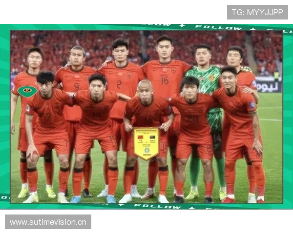 世界杯C组夺冠潜力球队分析